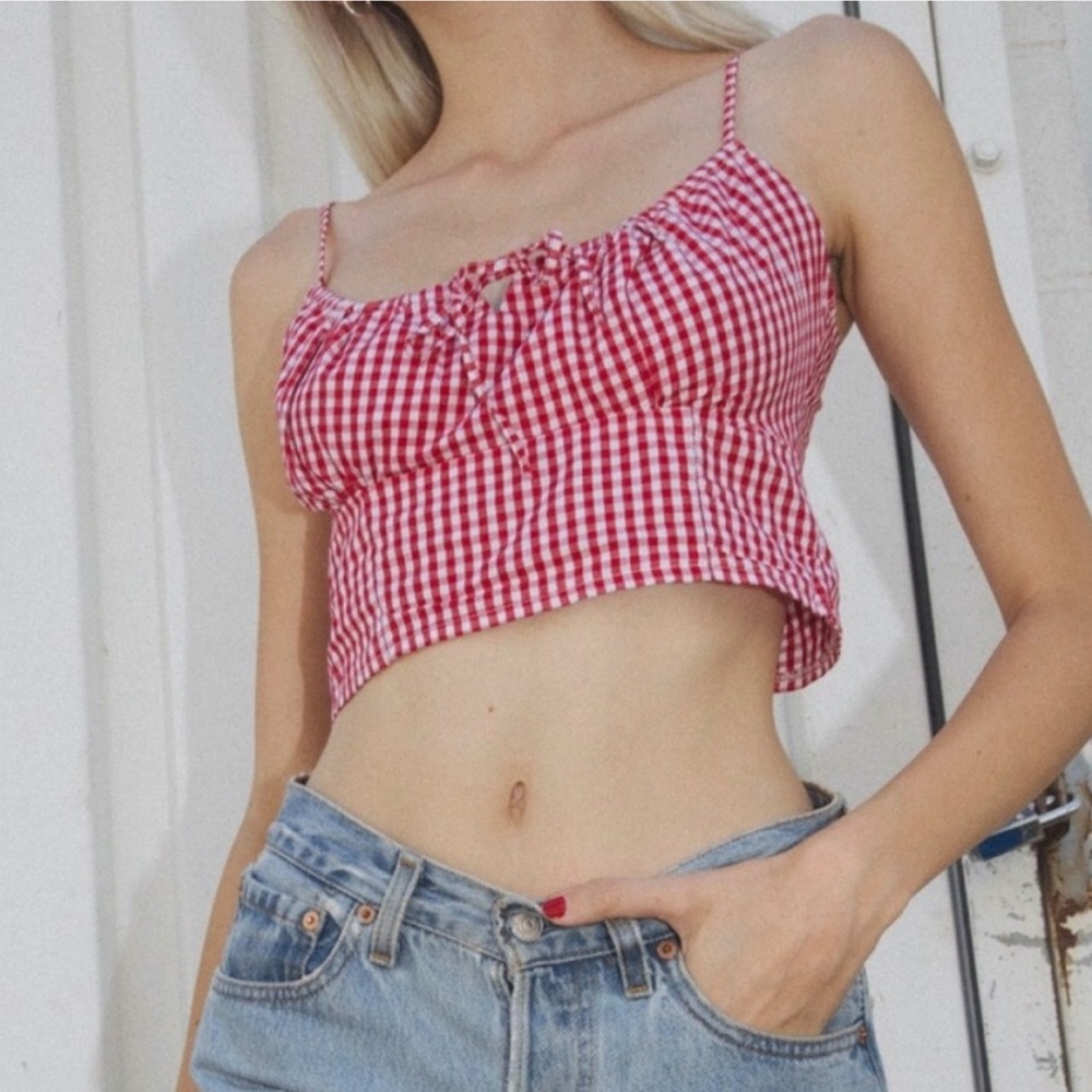Brandy Melville Red Gingham Crop Top